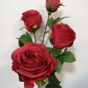 Rosas rojas 4 tallos