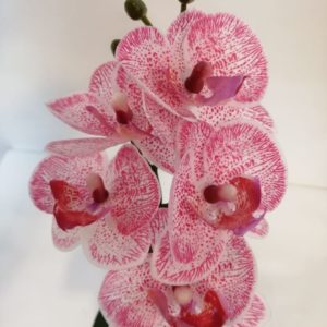 Orquídea rosada base plata