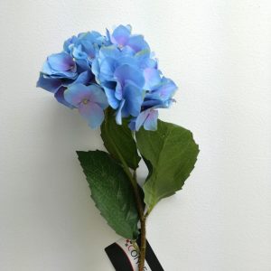 Flor de hortensia