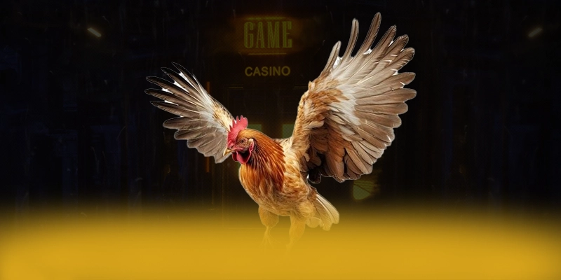 
Cập nhật thông tin về KUWIN - Sảnh game uy tín số 1 Việt Nam
