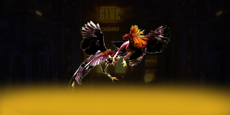 UU88 - Thương hiệu cực hot tại Việt Nam – Trải nghiệm UU88