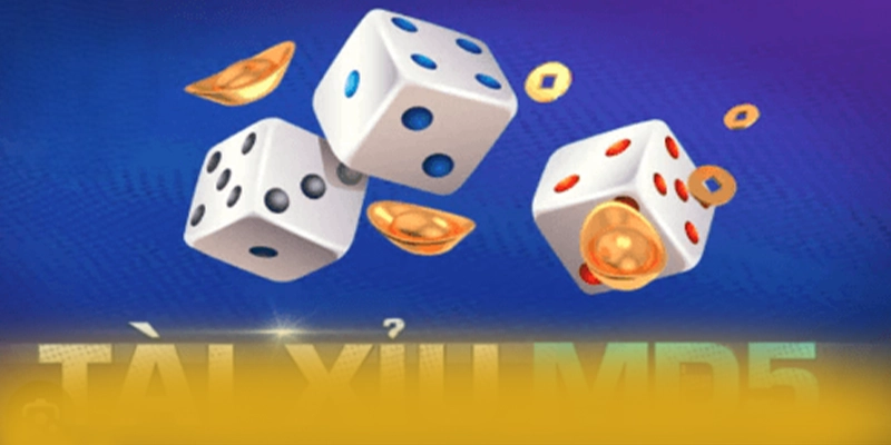 CONGA6789 - Tổng quan về hệ thống với góc nhìn khách quan.