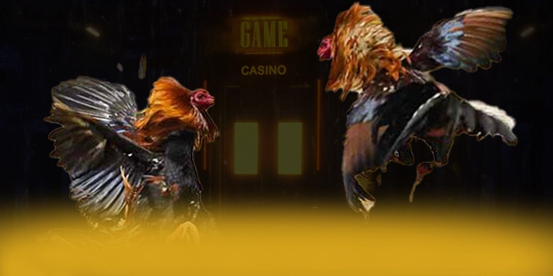 N88 - Nhà cái uy tín được cộng đồng đánh giá cao