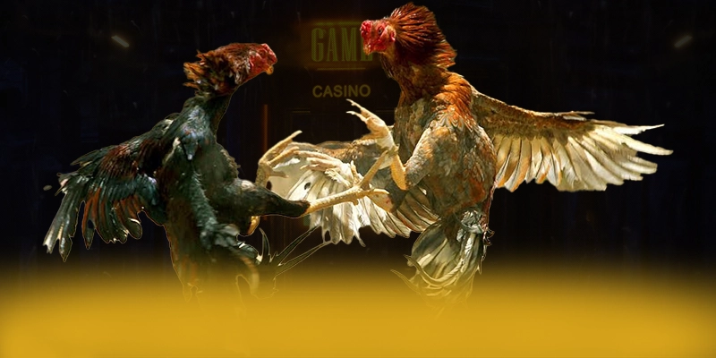 CONGA6789 - Trang game minh bạch 2025 – Đánh giá CONGA6789