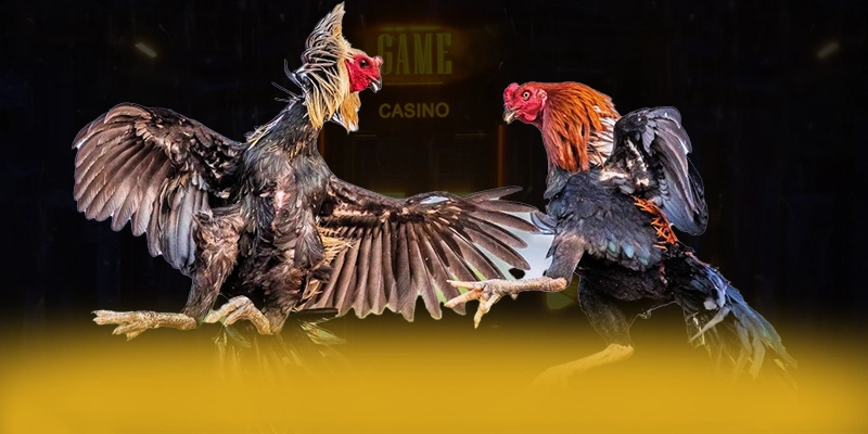 N88 - Cổng game với nhiều tựa game đổi thưởng hấp dẫn tại Việt Nam – Khám phá ngay các trò chơi tại N88