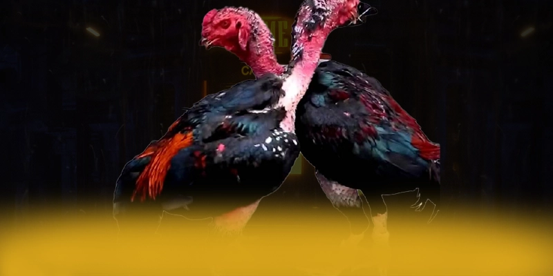 LC88 - Nhà cái đang làm mưa làm gió được game thủ lựa chọn – Tìm hiểu LC88