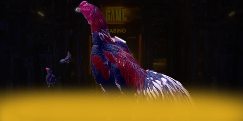 CONGA6789 – Cổng game bài có thưởng lớn, được giới cược thủ đánh giá cao.