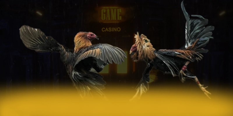 N88 - Kết luận tổng thể về nền tảng này từ cộng đồng game thủ.