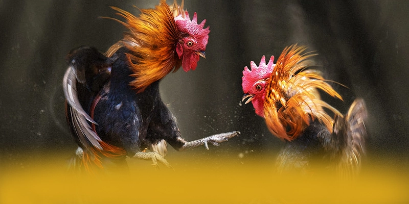 SUNWIN - Sảnh game với phần thưởng siêu lớn tại Việt Nam – Săn ngay SUNWIN SUNWIN - Sảnh game với phần thưởng siêu lớn tại Việt Nam – Săn ngay SUNWIN