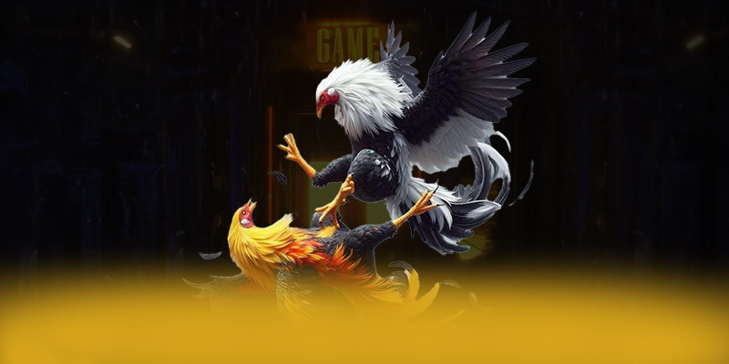 GEM88 – Trang game có thưởng lớn, được cộng đồng game thủ tin tưởng.