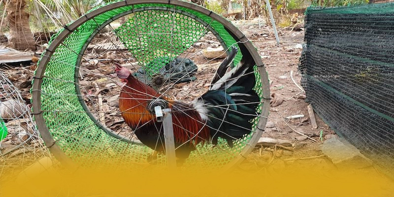 SUNWIN – Cổng cá cược được nhiều người chơi lựa chọn, được người chơi yêu thích. SUNWIN – Cổng cá cược được nhiều người chơi lựa chọn, được người chơi yêu thích.