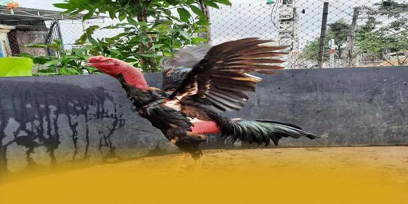 Khám phá thế giới của KKWIN - Trang game có thưởng lớn hiện nay
Khám phá thế giới của KKWIN - Trang game có thưởng lớn hiện nay