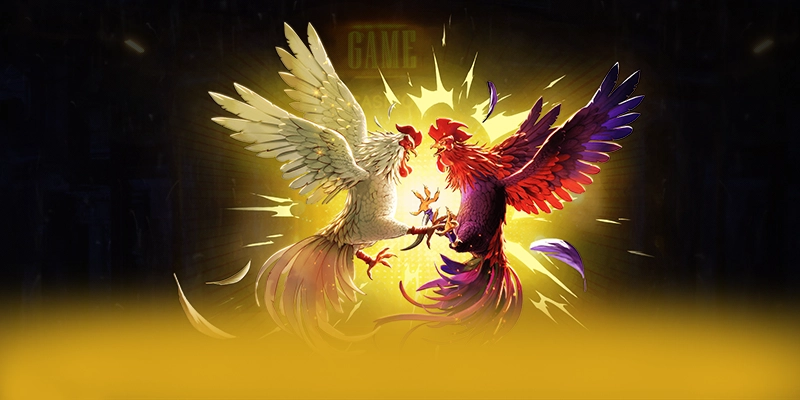 KKWIN - Sảnh game đẳng cấp số 1 Việt Nam KKWIN - Sảnh game đẳng cấp số 1 Việt Nam