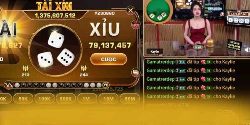 8XBET - Hỗ trợ người chơi đẳng cấp phản hồi nhanh