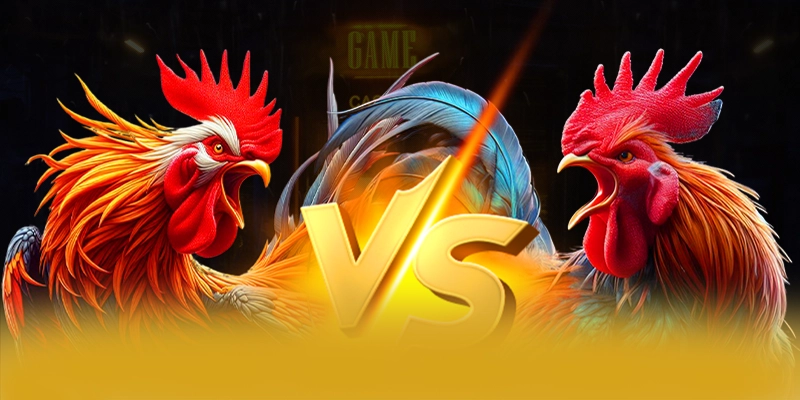 8xbet - Trang game quy tu nhieu sieu pham hot tai Viet Nam