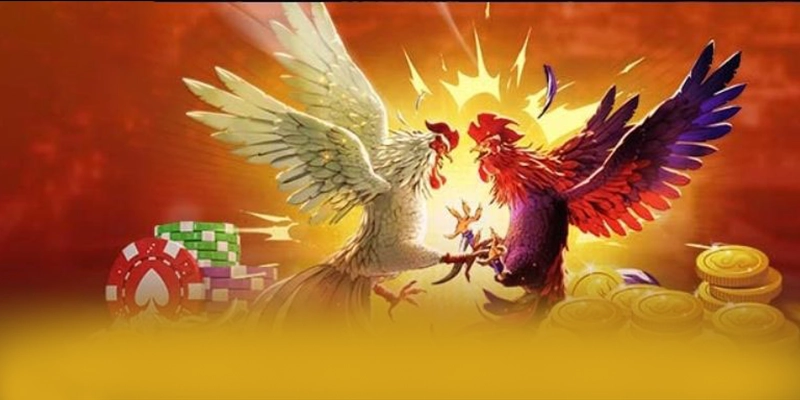 Nền tảng đa nền tảng cùng 8XBET